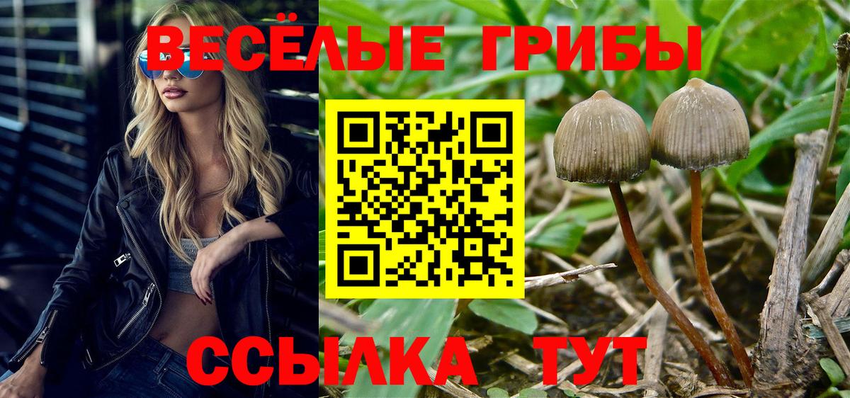 Псилоцибиновые грибы ЛСД Асбест